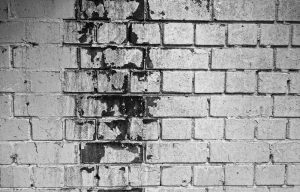 Ett mögeltest på bara några minuter